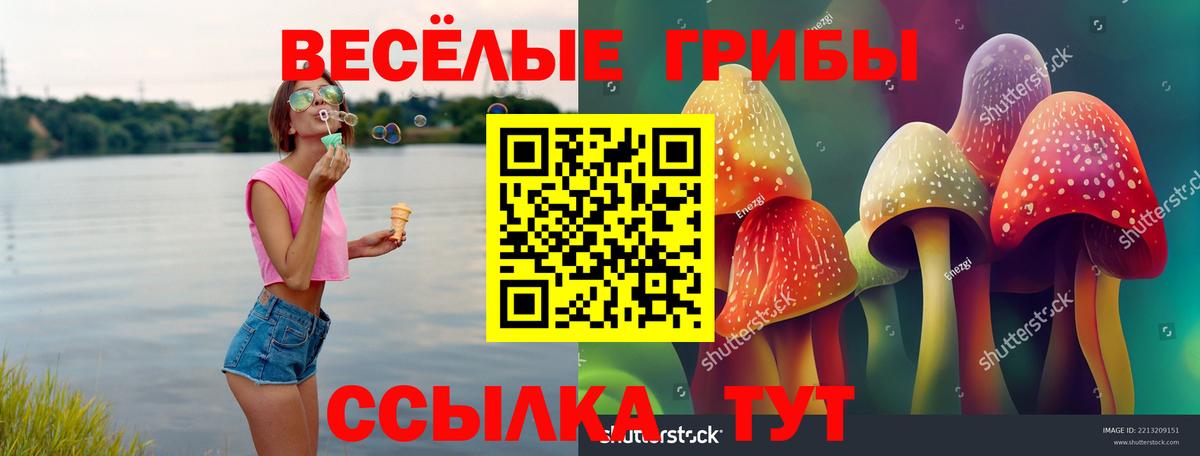 Псилоцибиновые грибы мухоморы  Галлюциногенные грибы мухоморы  Вход с VPN  Новочеркасск 